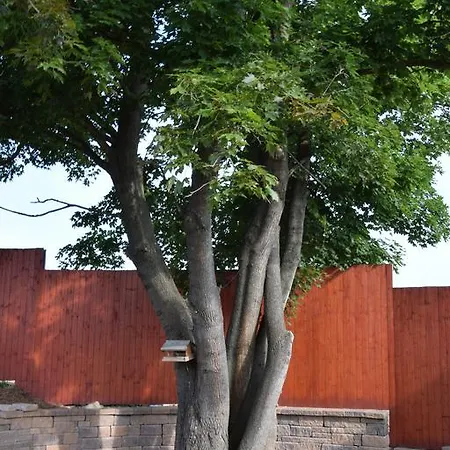 Penzion Na Samotách Appartamento Jindřichŭv Hradec